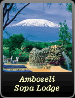 Amboseli Sopa