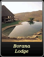 Borana