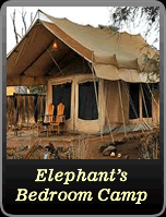 Elephant Bedroom