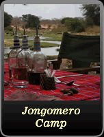 Jongomero Camp