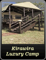 Kirawira Luxury Camp