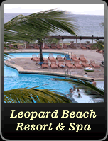 leopard beach
