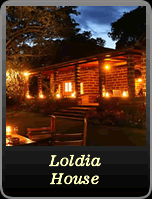 Loldia House