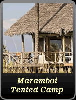 Maramboi