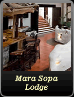 Mara Sopa