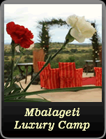 Mbalageti