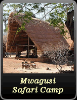 Mwagusi Safari Camp