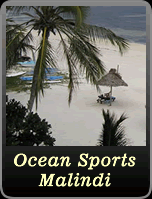 Ocean Sports