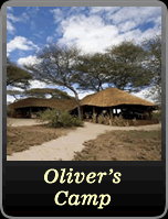 Olivers Camp