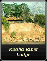 ruaha river lodge