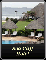 Sea Cliff Dar