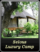 Serena Selous Luxury Lodge