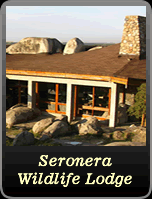 Seronera Lodge