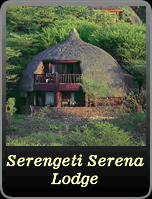 Serengeti Serena