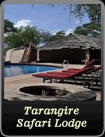 Tarangire Safari Lodge