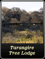 Tarangire Tree Lodge