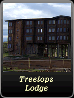 Treetops Lodge